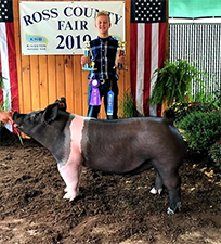 Gaughan Showpigs Winners