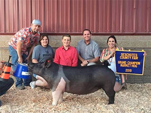 Gaughan Showpigs Winners