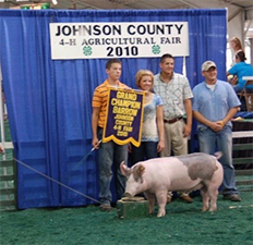 Gaughan Showpigs Winners