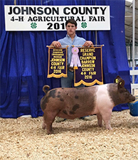 Gaughan Showpigs Winners
