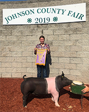 Gaughan Showpigs Winners
