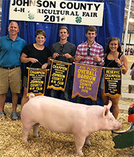 Gaughan Showpigs Winners