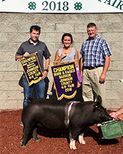 Gaughan Showpigs Winners